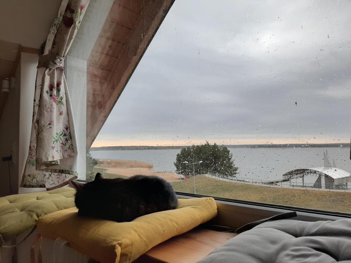 Apartmán Zubr Nad Zalewem Luka Exteriér fotografie